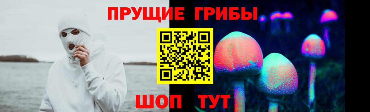 Железногорск  Галлюциногенные грибы GOLDEN TEACHER  Вход с VPN  закладка  Псилоцибиновые грибы мицелий 
